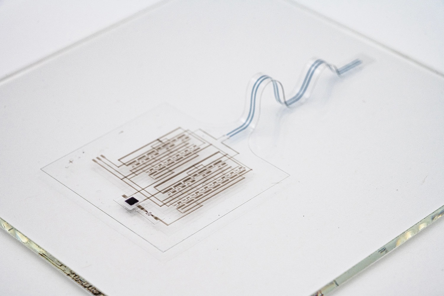 The three layers of the e-skin contain networks of organic nanostructures that can be designed to sense pressure, temperature, strain and chemicals. © Bao Research Group, Stanford University